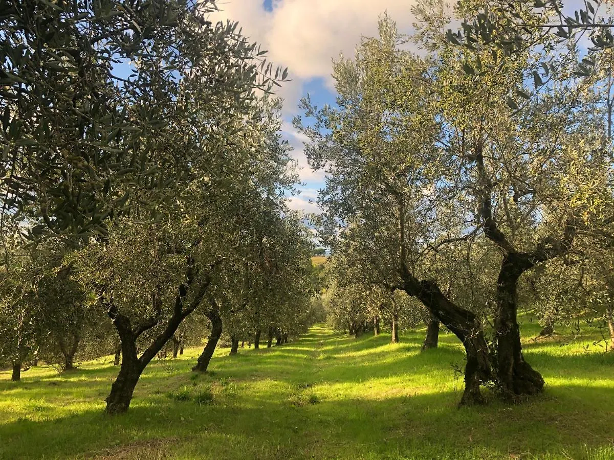Podere Casato Montespertoli 0*,  Italy