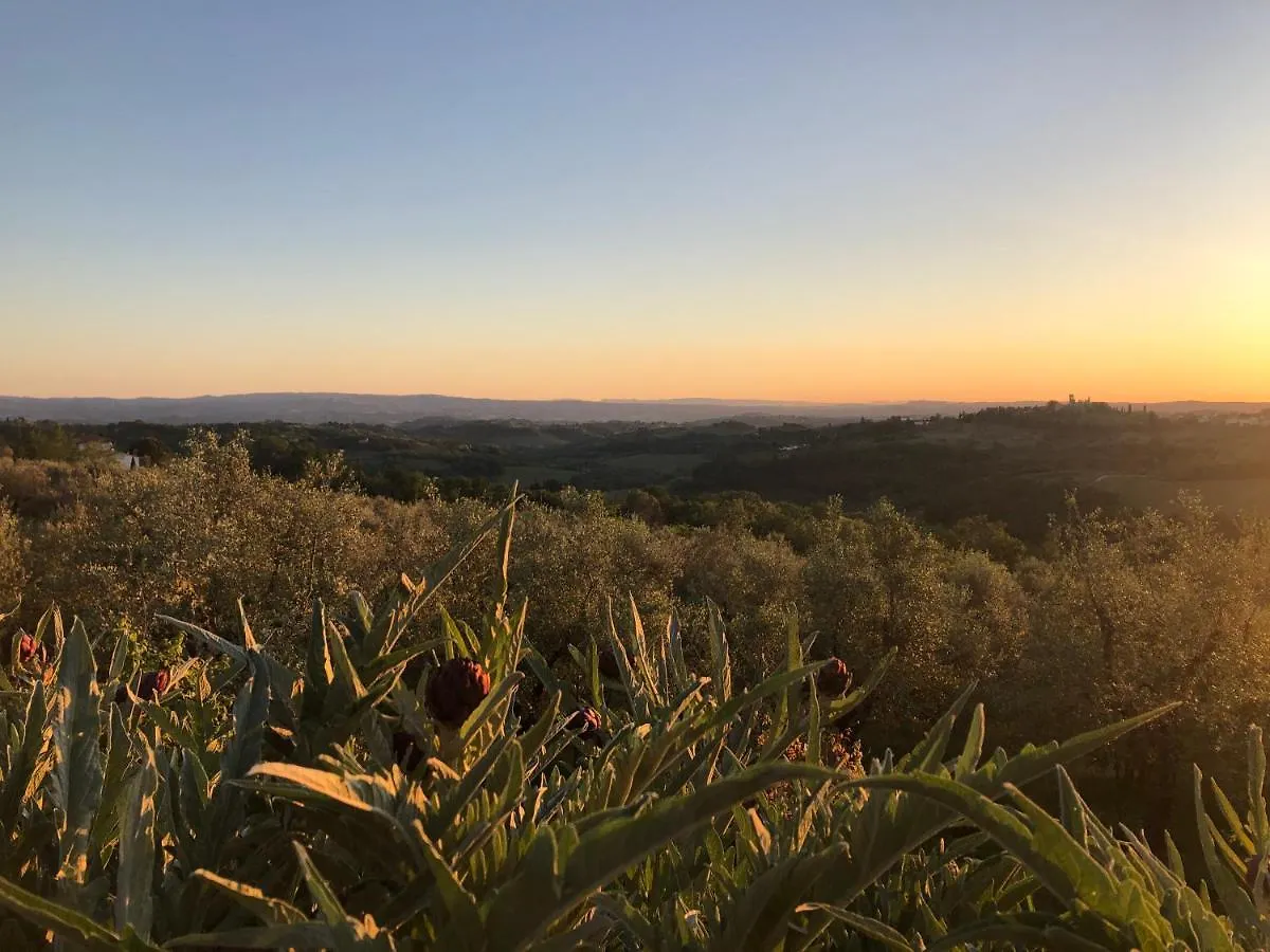 Farm stay Podere Casato Hills View, Pool, Wifi Tuscany Montespertoli Italy